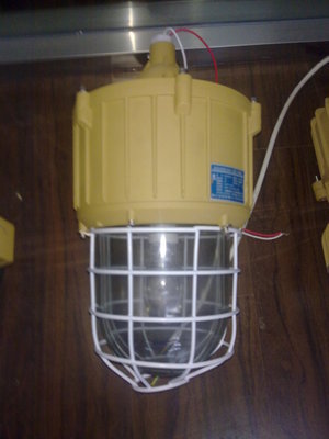 樂(lè)清廠家生產(chǎn)防爆燈BAD82 專業(yè)防爆照明解決方案